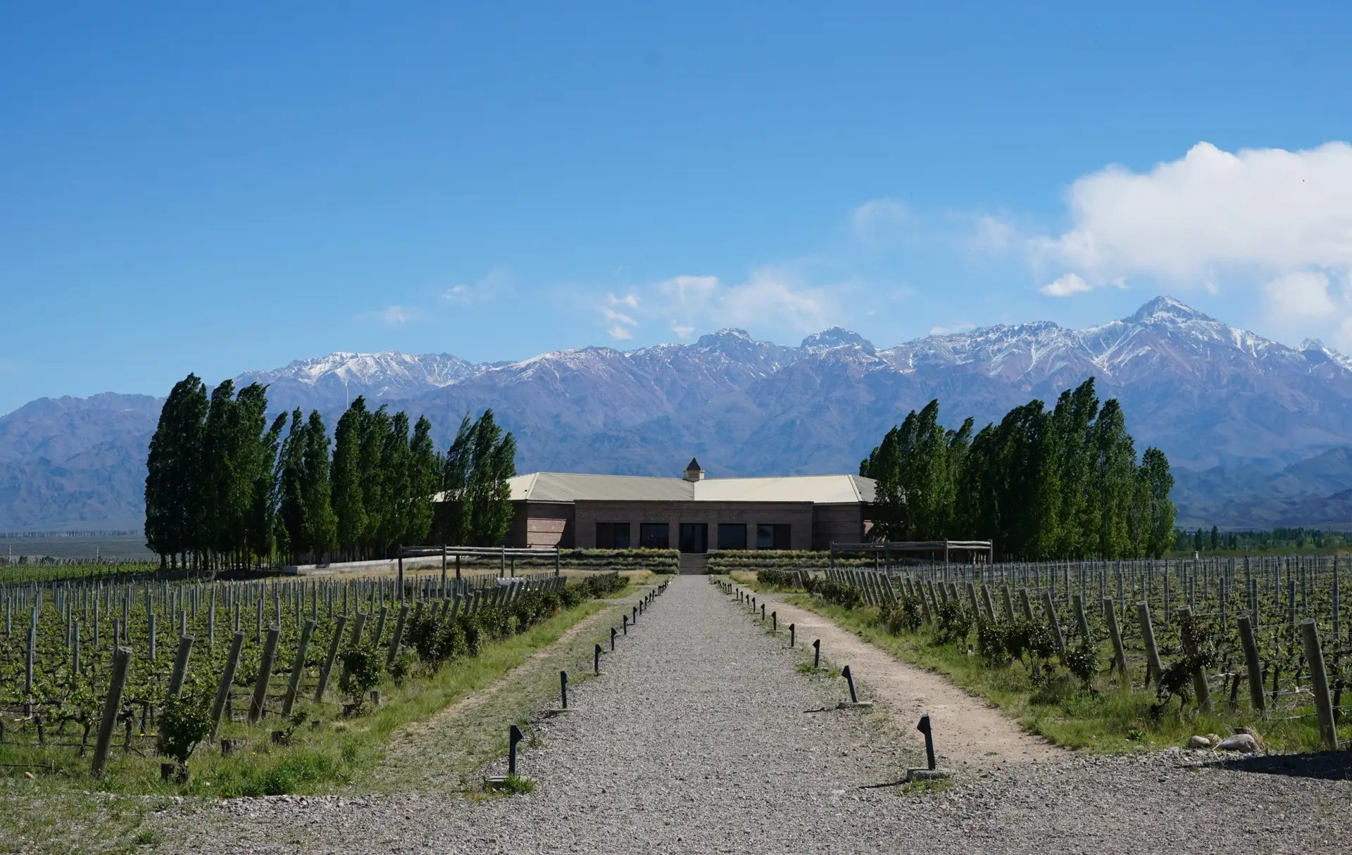 Top 5 Destinations for Wine Lovers