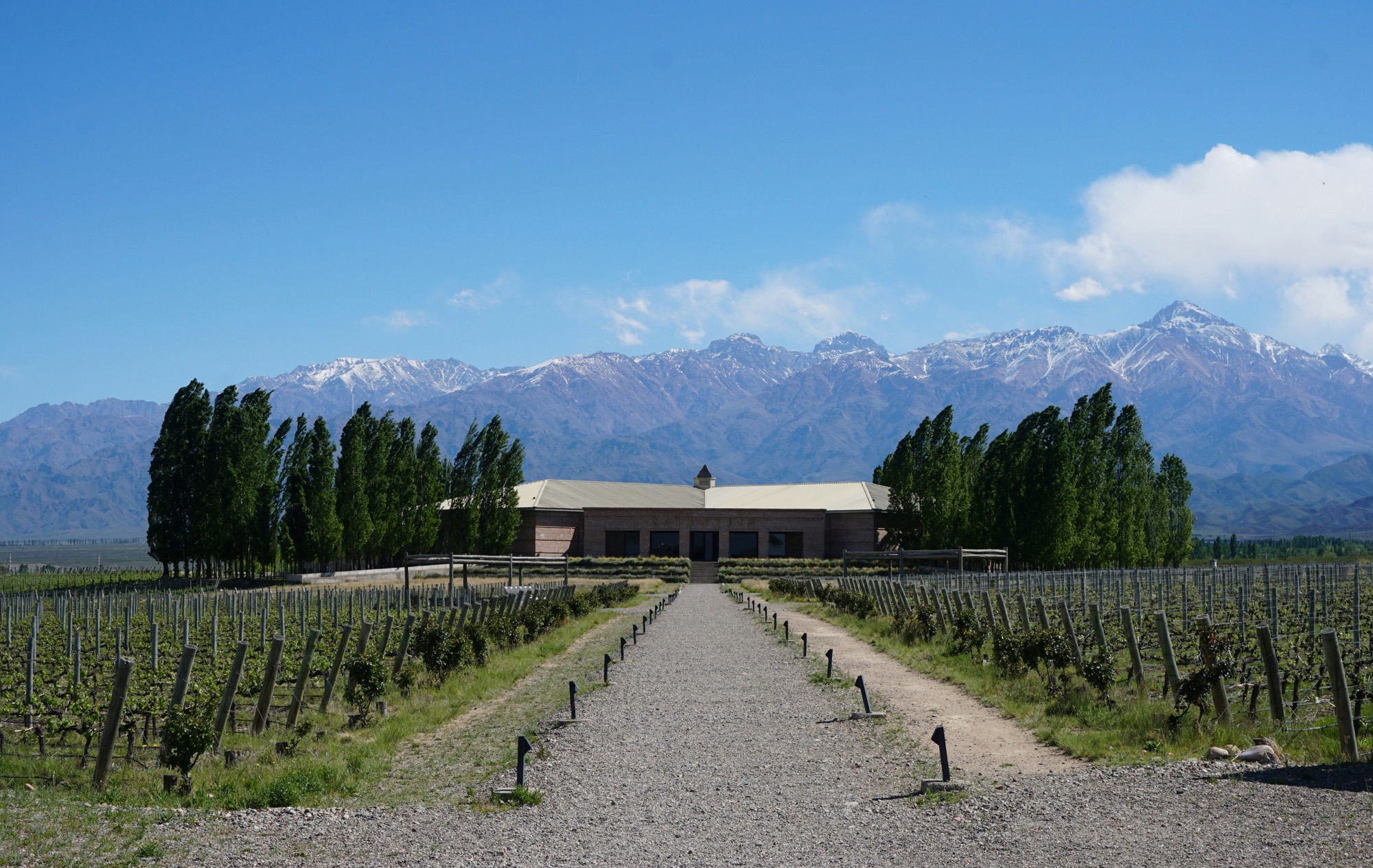 Top 5 Destinations for Wine Lovers